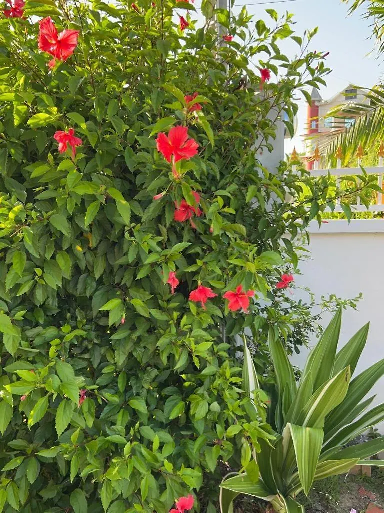 Guest house Faith'S Villa Tobago Diamond