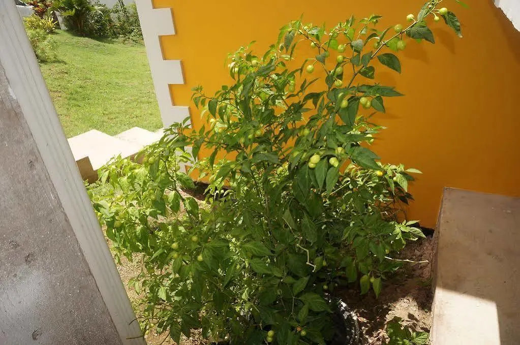 *** Guest house Faith'S Villa Tobago Diamond Trinidad And Tobago